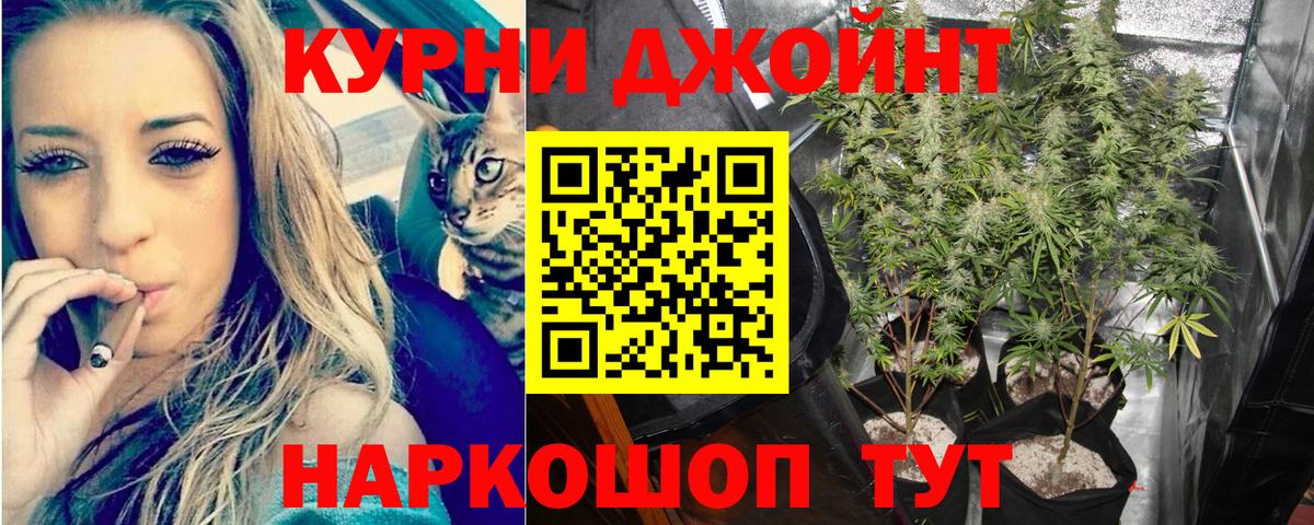 Бошки Шишки MAZAR Железноводск